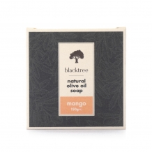 Stone Soap | Mango 