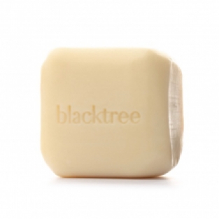 Stone Soap | Mango 