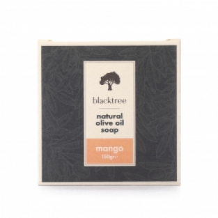 Stone Soap | Mango 