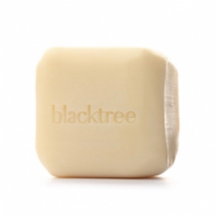 Stone Soap | Unscented